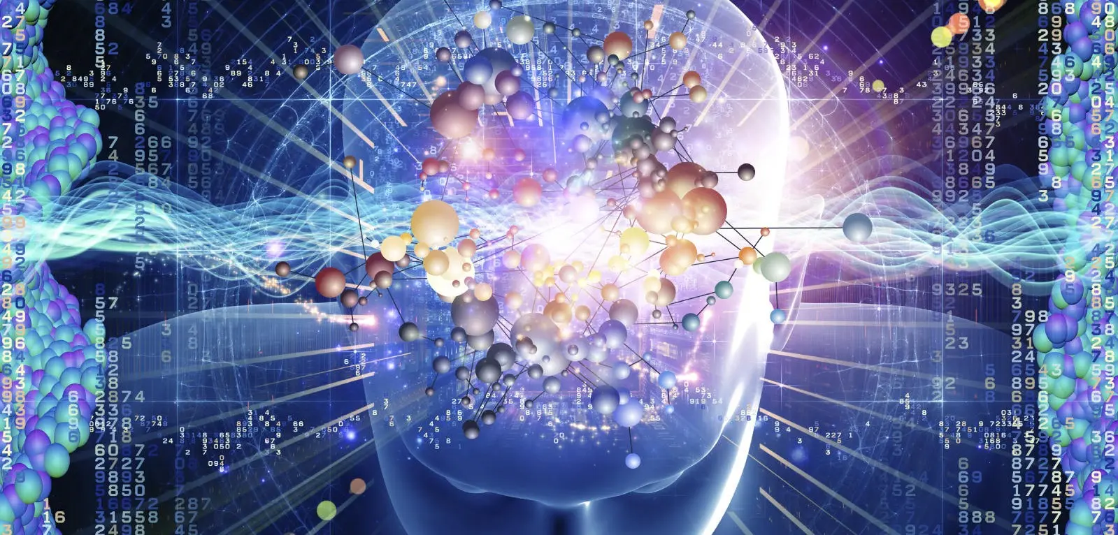 Vibrational frequencies in Humans